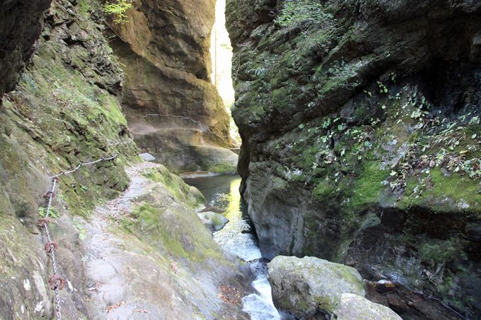 w̎Rɂ藧΂̒fRu_ˊv