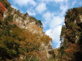 東京にもこんな峡谷がある！東京都指定天然記念物「神戸岩」
