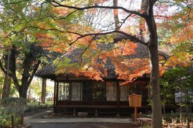 ���c�J��Ɏc�镐����̌����i�I�g�t�́u�s���b�ԍP�t���v�̋L���T���l�C��