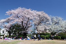 ������݂͊Ŋy���މԌ��U���I�����s��c��u�����������v�̋L���T���l�C��