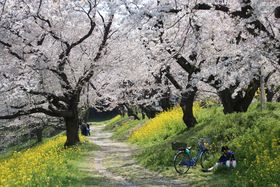 ʌk{sōIu郖JvƁuΌˊUNv̋LTlC