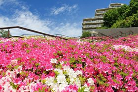 ���l�u�`�k�j���[�^�E���v�Ő�i�I�k�R�c�̃c�c�W���������I�̋L���T���l�C��