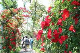 300m̃õglIʌ쓇u̐Xv̋LTlC