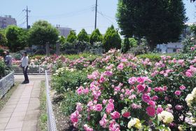 Ȍǌ[Isua΂v̋LTlC