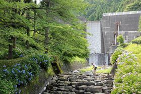 zԂƌk̃R{́Iʌu썻h_v̋LTlC