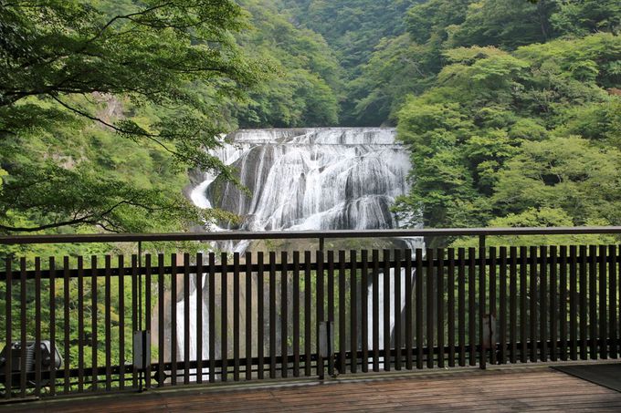 眼前に迫る大瀑布 迫力がすごい 茨城県大子町 袋田の滝 茨城県 Lineトラベルjp 旅行ガイド