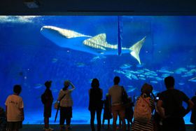 �W���x�G�U���́g�a������́h�u�������[���h�������ܐ����فv�̋L���T���l�C��