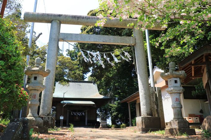 ݂̉͊Ă݂悤IO֐_ЂɂQqĂI