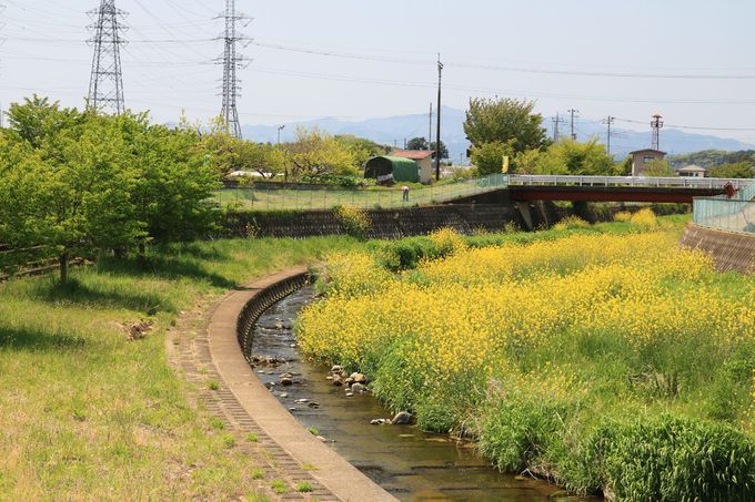 ݂̉͊Ă݂悤IO֐_ЂɂQqĂI