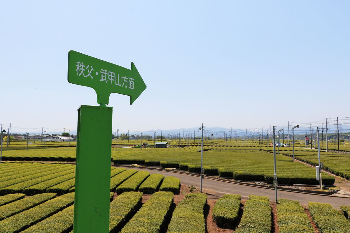 uԒƌvK˂Ă݂悤AW]fbL̒߂iI