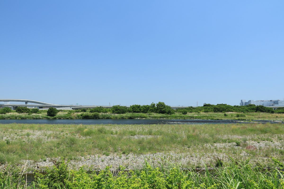 開放感溢れる河岸でバラ 神奈川県 相模川ローズガーデン 神奈川県 トラベルjp 旅行ガイド