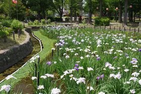 8000̉ԏҊLɁIsu傤ԏv̋LTlC