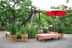 ɕx񂾒뉀Ŕ~J̉ԁXIusSԉv̋LTlC