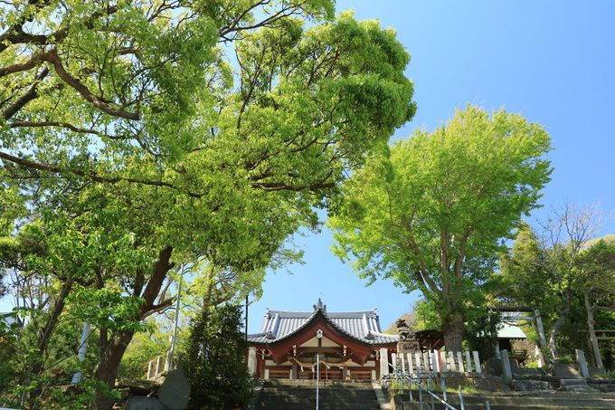 抜け出た先は海 葉山町一色の こみち 散歩が楽しい 神奈川県 Lineトラベルjp 旅行ガイド