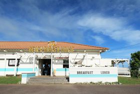 C̓JtHjAK[!?{uThe BEACH BURGER HOUSEv̋LTlC