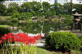 ̐^񒆂Ŕފ݉ԁIH̓sSŒ뉀y̋LTlC