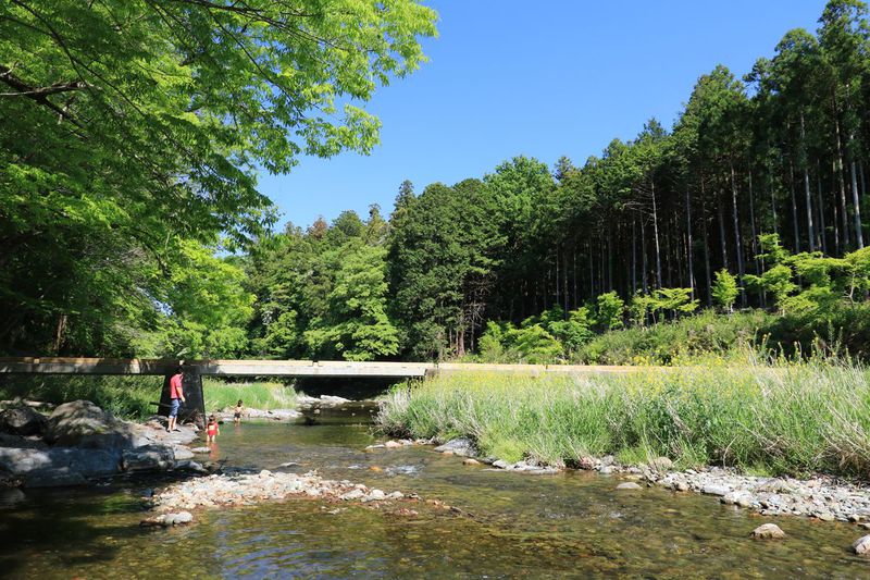 渓谷も樹林も美しい！埼玉県の景勝地「嵐山渓谷」を楽しもう