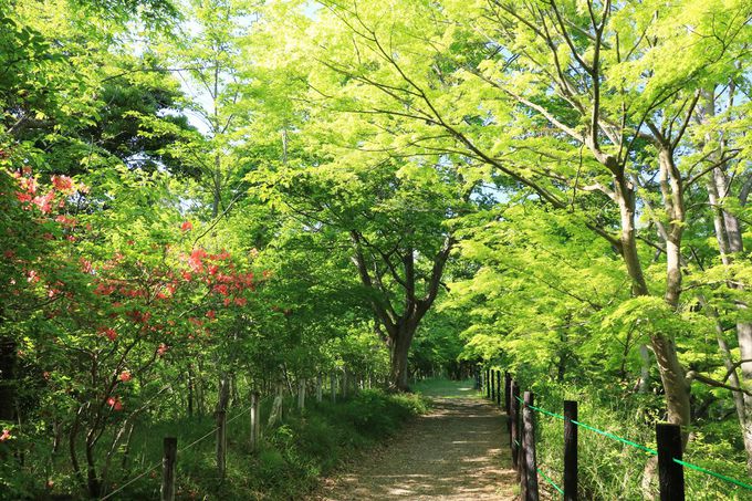 武蔵国を代表する景勝地のひとつ、「嵐山渓谷」