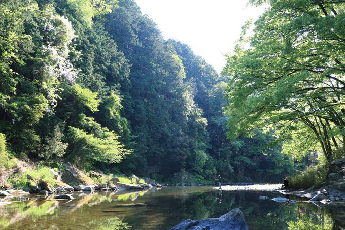 渓谷も樹林も美しい 埼玉県の景勝地 嵐山渓谷 を楽しもう 埼玉県 トラベルjp 旅行ガイド