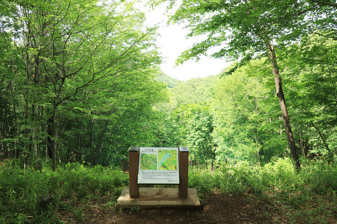 sEšȅAR̈\𐮔uRv