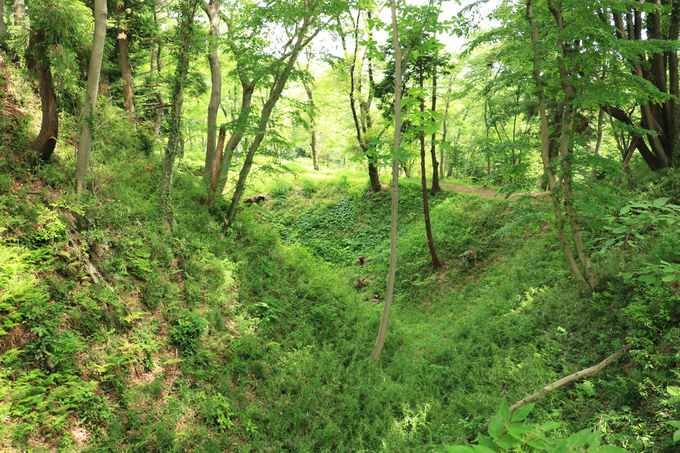 }jAłȂĂKIwjՁA{100̑R