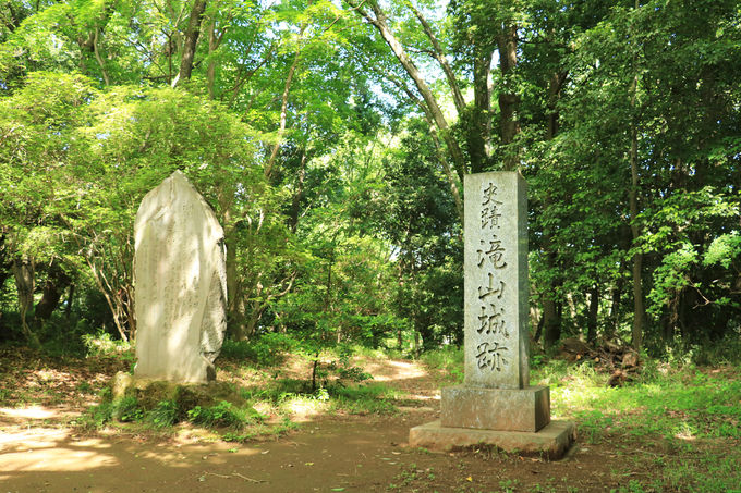 sEšȅAR̈\𐮔uRv