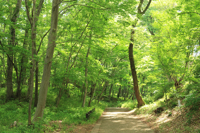 sEšȅAR̈\𐮔uRv