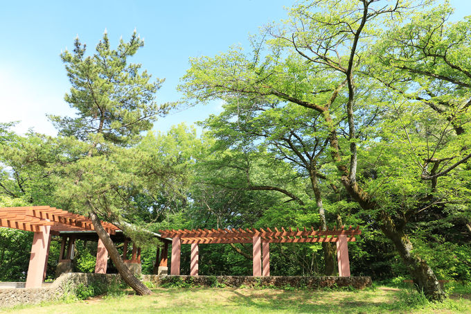 }jAA}jAłȂĂy߂IuRv