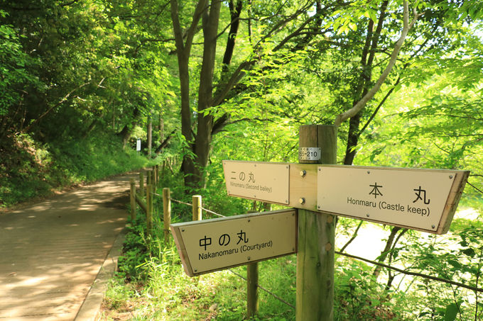 }jAłȂĂKIwjՁA{100̑R