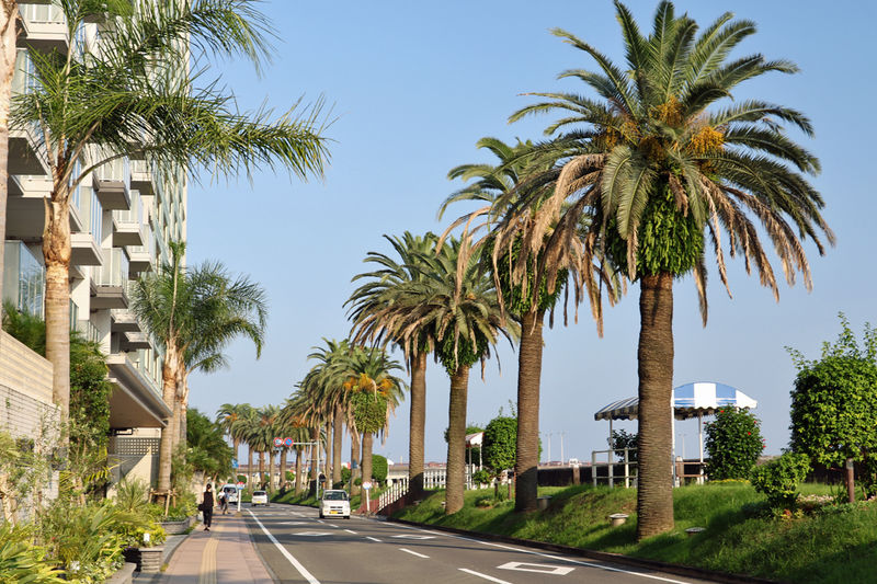 Go To トラベルキャンペーンで宮崎へ 観光支援策 旅行情報まとめ Lineトラベルjp 旅行ガイド