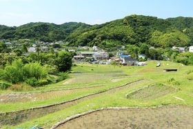 tRŗRUIuɂق̗100Iv̒IcK˂悤̋LTlC