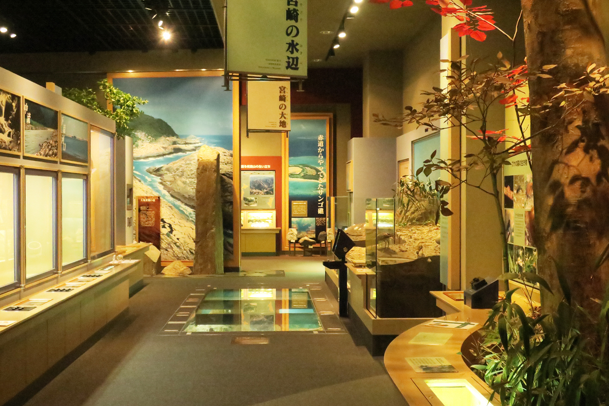 宮崎観光として訪ねてみたい、宮崎県総合博物館