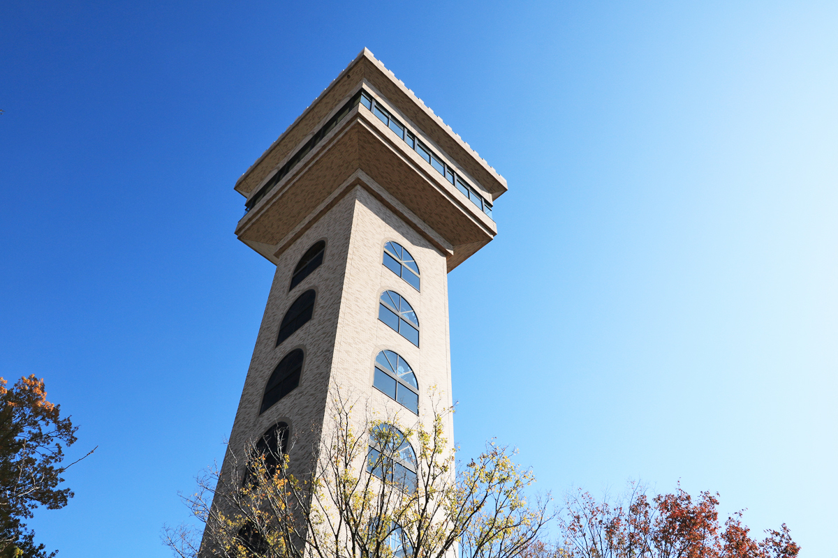 大男伝説も楽しい 神奈川県 相模原麻溝公園 で一日遊ぼう 神奈川県 Lineトラベルjp 旅行ガイド