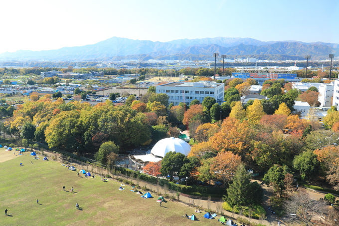 大男伝説も楽しい 神奈川県 相模原麻溝公園 で一日遊ぼう 神奈川県 Lineトラベルjp 旅行ガイド