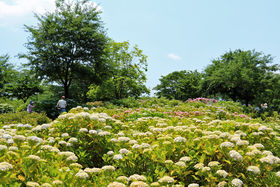 ꖜ炫ւ鎇zԂ̖I͌su͌kv̋LTlC