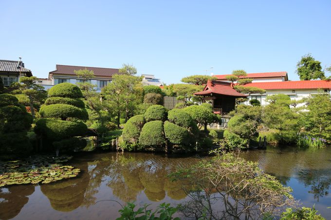 池は湧水！龍神様を祀る「湯泉荘」の日本庭園