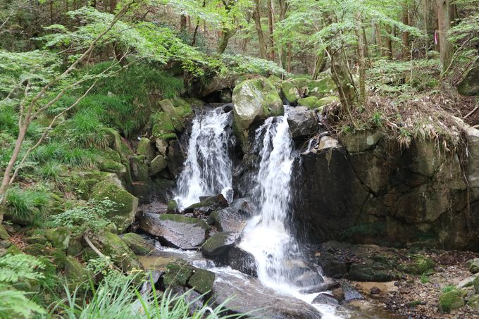 G̗΂ɉBꂽ򉷐Łua򉮗فv͓p