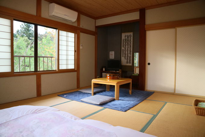 ua򉮗فvłCyAyv`͂H