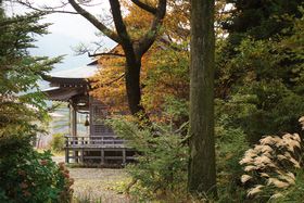 �C�_�l�͍����̒r�ɁI���Q�E��샖���͒m��ꂴ��J�^�̃p���[�X�|�b�g�̋L���T���l�C��