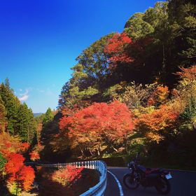 �u�Ö삾�I�[�́I�v�ʔ�CM�Řb��I���m�E�Ö쒬�͎l���\�����̒��̋L���T���l�C��