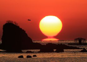 ~̖ImEhюsցgK^̂ܗ[hɍsI̋LTlC