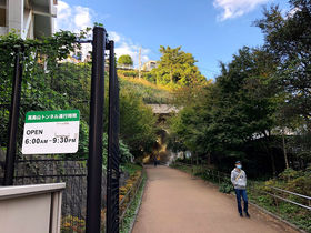 ���l�w��������ہI�u�����t�����[�Γ��v�ŗ��j������U�����̋L���T���l�C��