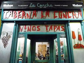 }h[hōsICyȃoEoEfB[vȃőLTlC