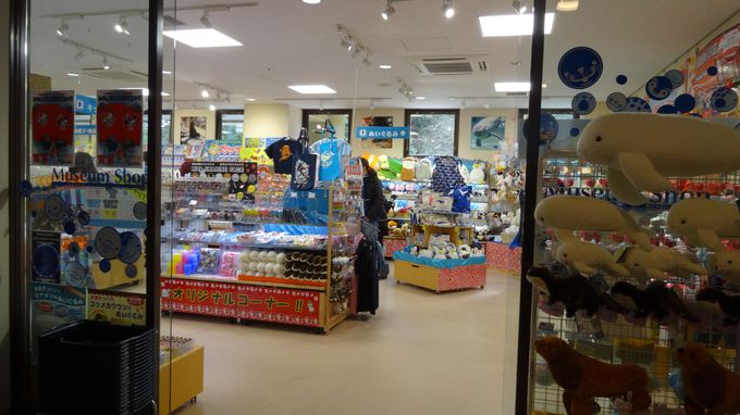 参拝帰りに遊べる 宮島水族館 みやじマリン の楽しみ方 広島県 トラベルjp 旅行ガイド