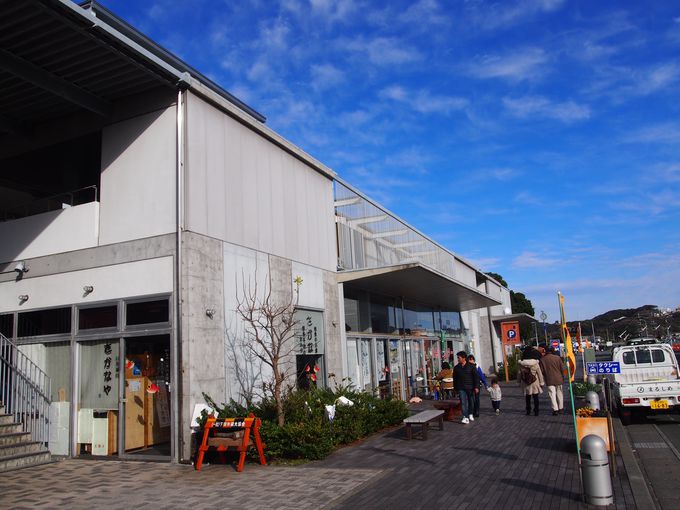 wK{݂mx[VủwEJc݂ȂƁv