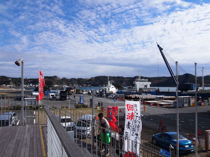 wK{݂mx[VủwEJc݂ȂƁv