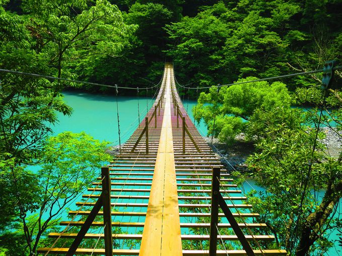 7．夢の吊り橋/川根本町