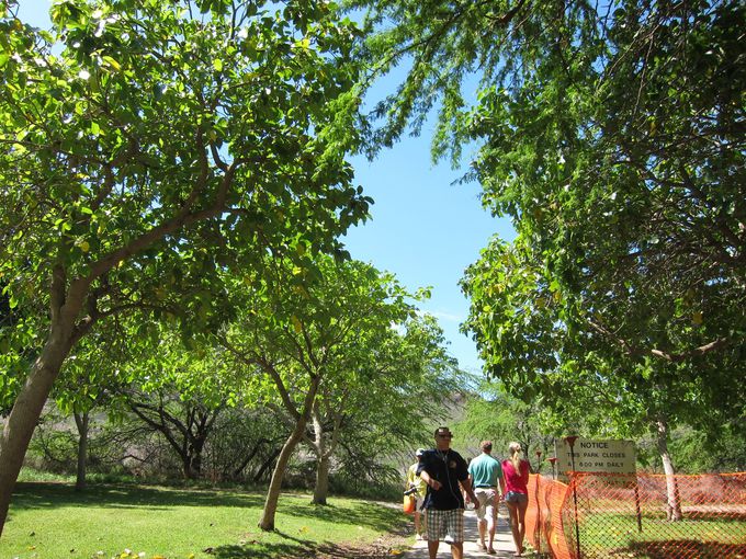 ���Ă��΍�͕K�{�I���ݕ������O�ɍw����