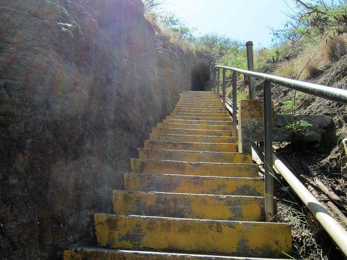 �}�ŋ����K�i�Ɣ��Â��g���l��