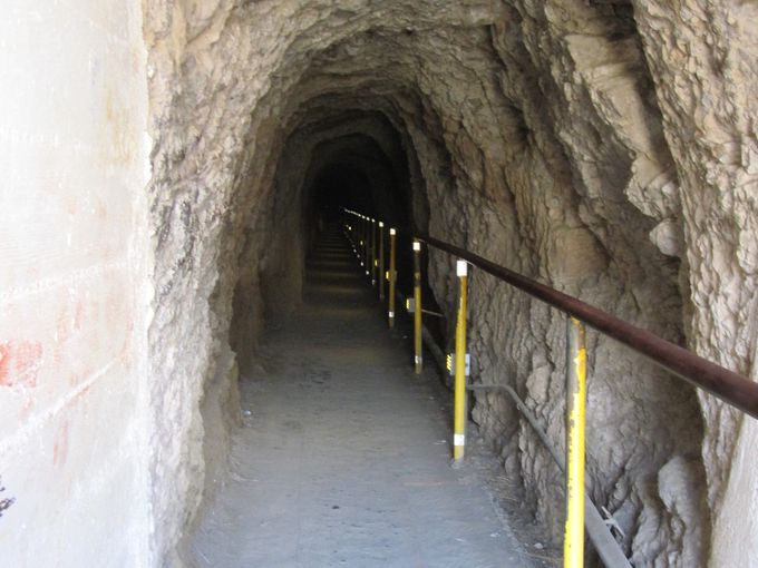 �}�ŋ����K�i�Ɣ��Â��g���l��